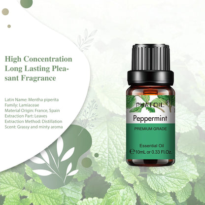 Huile Essentielle PHATOIL 10ml - Eucalyptus Lavande Menthe